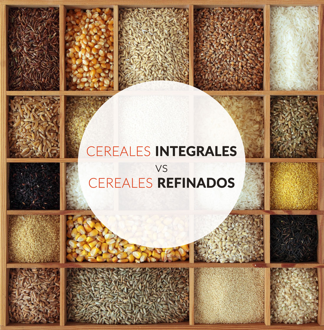 Cereal refinado vs. Cereal integral ¿Cómo diferenciarlos?